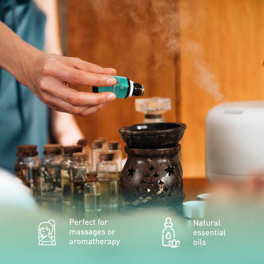 3 Pack Aromatherapy Essential oils (Lavender, Eucalyptus, Frankincense) - Mialuxx.beauty