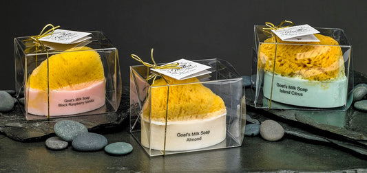 Goat's Milk Soap w/ Embedded Sea Sponge - Coconut - Mialuxx.beauty