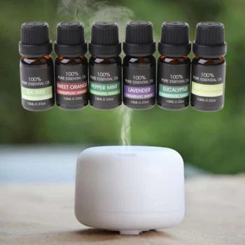 Therapeutic Grade 100% Pure Essential Oil Set of 6 - Mialuxx.beauty